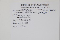 異葉馬兜鈴藏品圖，第2張