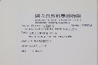 異葉馬兜鈴藏品圖，第2張