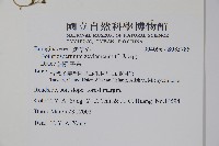 附地菜藏品圖，第2張