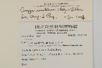 野茼蒿藏品圖，第2張