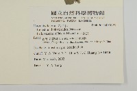 卷耳藏品圖，第2張