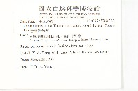 台灣碎米薺藏品圖，第2張