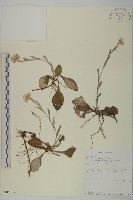 登錄號:S085805藏品圖，第1張