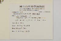 裂葉艾納香藏品圖，第2張