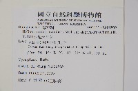 伏毛天芹菜藏品圖，第2張