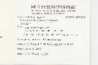 銳葉牽牛藏品圖，第2張