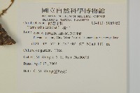 欖仁藏品圖，第2張