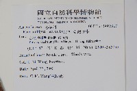 臺灣藤漆藏品圖，第2張