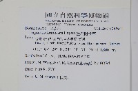 臺灣附地草藏品圖，第2張