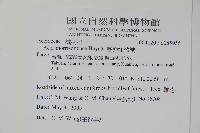 臺灣紅榨槭藏品圖，第2張