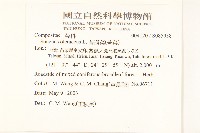 苦滇菜、苦菜藏品圖，第2張