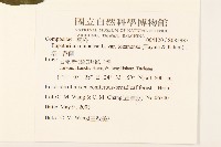 塔山澤蘭藏品圖，第2張