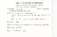 焊菜藏品圖，第2張