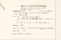 福山氏飛蓬藏品圖，第2張