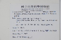 山桔梗藏品圖，第2張