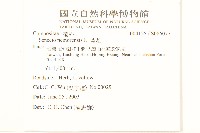 黃菀藏品圖，第2張