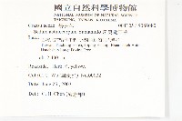 星果佛甲草藏品圖，第2張