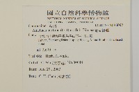 台灣鬼督郵藏品圖，第2張