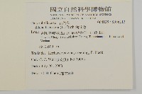 狗筋蔓藏品圖，第2張