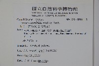 阿里山忍冬、漸尖葉忍冬藏品圖，第2張