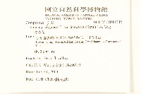 一枝黃花藏品圖，第2張