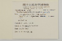 玉山石竹藏品圖，第2張