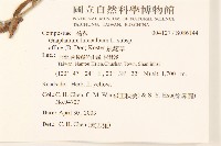 鼠麴草藏品圖，第2張