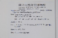 臺灣附地草藏品圖，第2張