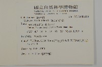 南華南蛇藤，青江藤藏品圖，第2張