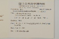 阿里山鬼督郵藏品圖，第2張