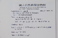 山桔梗藏品圖，第2張