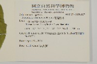 佩羅特木藏品圖，第2張