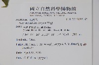 青楓藏品圖，第2張
