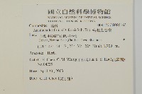 台灣鬼督郵藏品圖，第2張