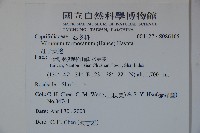 紅子莢迷藏品圖，第2張