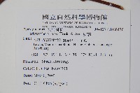 酸藤藏品圖，第2張