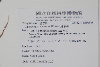 盾果草藏品圖，第2張