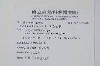 破布子藏品圖，第2張