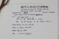 臺灣藤漆藏品圖，第2張