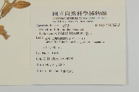 卷耳藏品圖，第2張