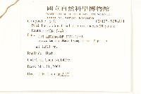 玉山毛蓮菜藏品圖，第2張