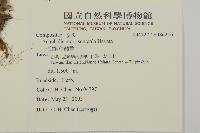 玉山抱莖籟簫藏品圖，第2張