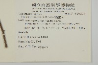佩羅特木藏品圖，第2張