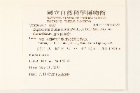 田代氏澤蘭藏品圖，第2張