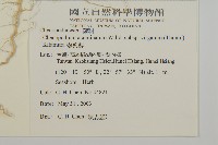 變葉藜藏品圖，第2張