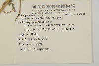 裸花鹼蓬藏品圖，第2張