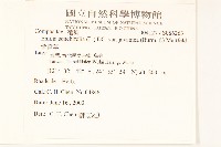 紫背草藏品圖，第2張