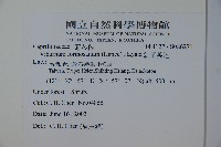 紅子莢迷藏品圖，第2張