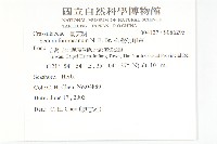台灣佛甲草、石板菜藏品圖，第2張