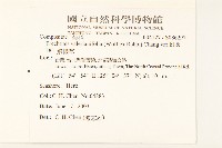 飛機草藏品圖，第2張